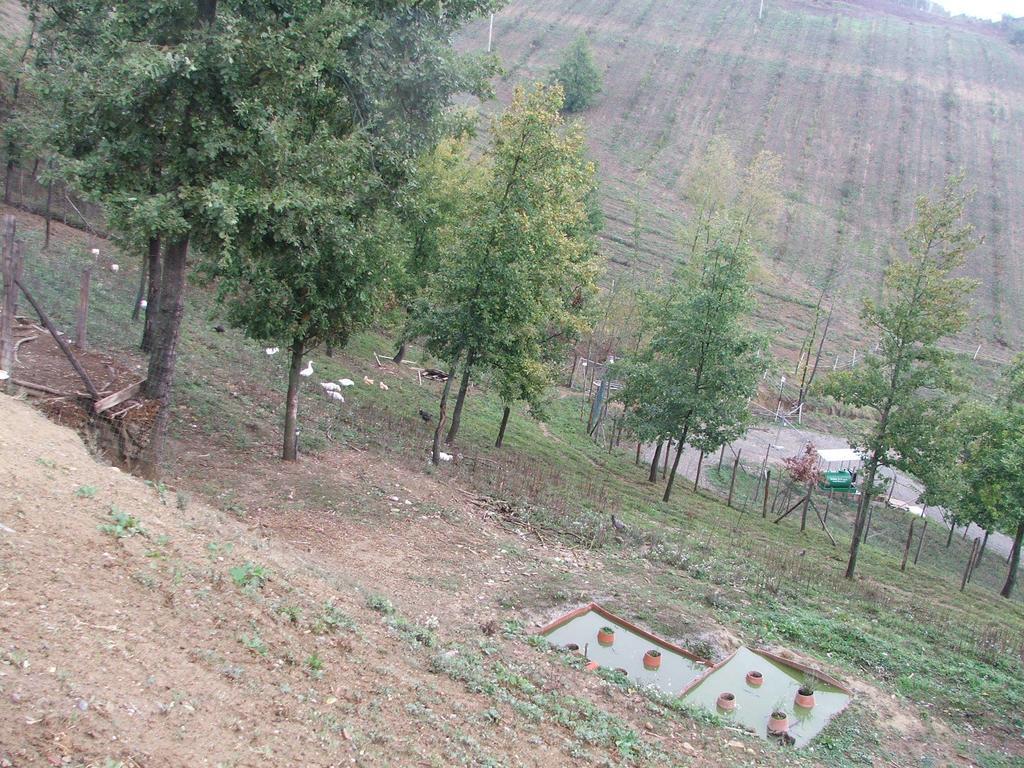 Agriturismo Cascina Aurora Acqui Terme Exterior photo